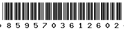 8595703612602