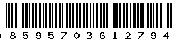 8595703612794