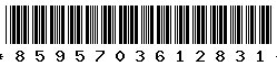8595703612831 8595703612831