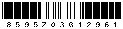 8595703612961 8595703612961