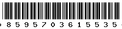 8595703615535 8595703615535