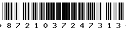 8721037247313 8721037247313