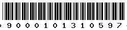 9000101310597